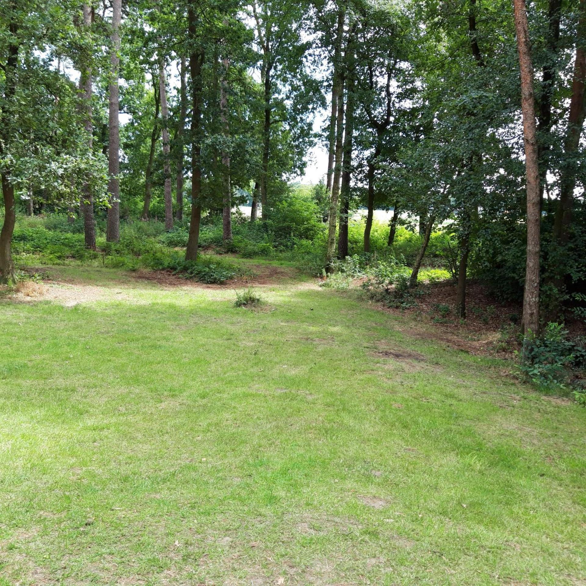 Vakantiehuis Op Top Locatie #Ommen Exterior foto